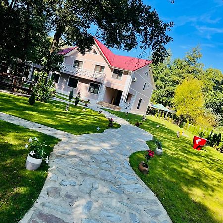 Pensiunea Pink House Runcu Hotel Runcu  Exterior photo