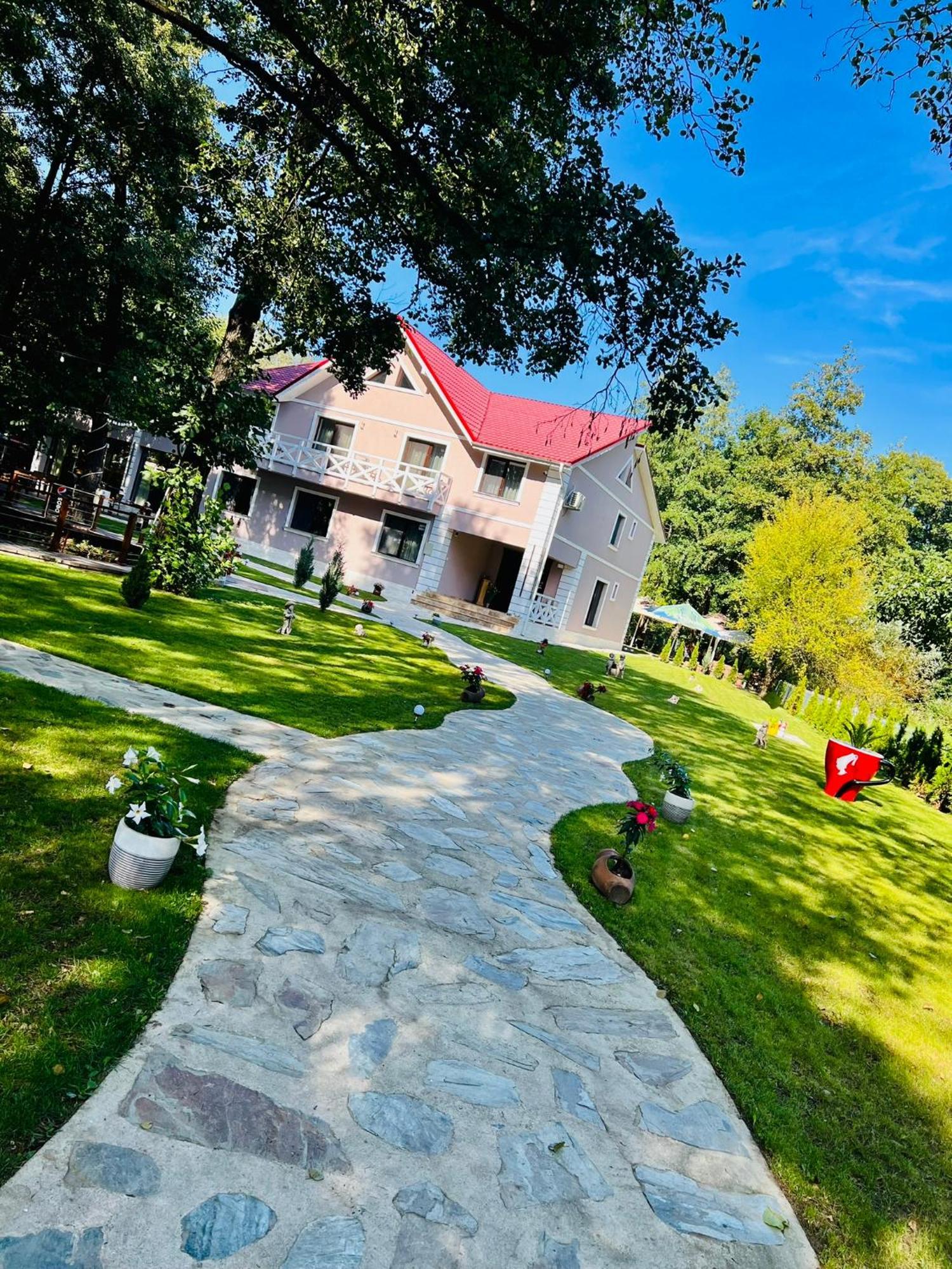 Pensiunea Pink House Runcu Hotel Runcu  Exterior photo